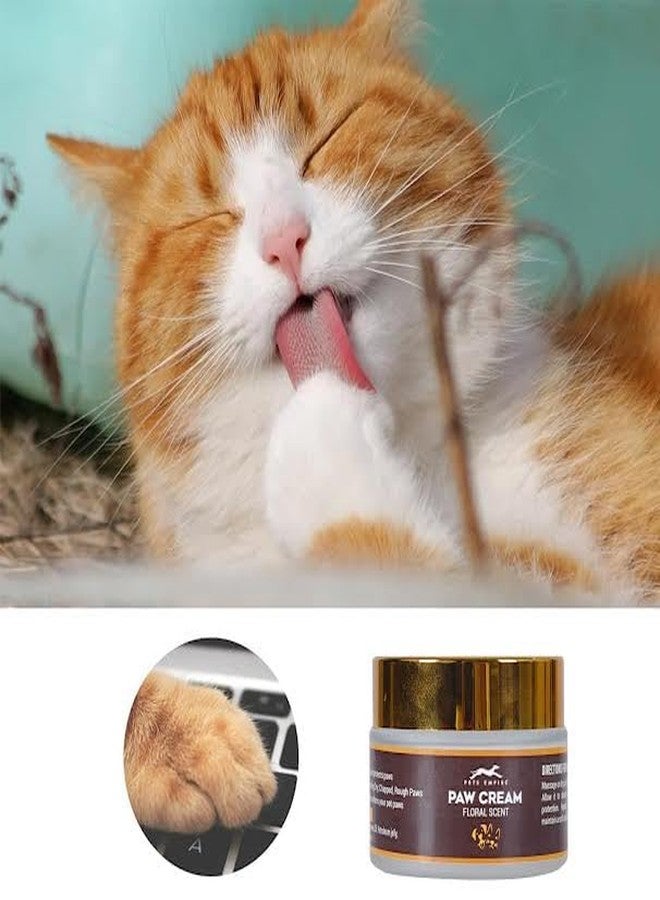 Pets Empire Soft Paw Butter Cream with Almond Oil - 50g (Pack of 2) | Natural, Heals Dry, Cracked Paws for All Pets - Image 4